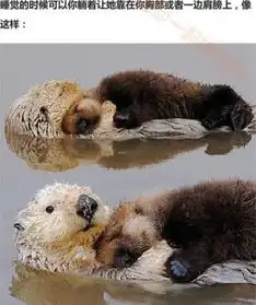  每日轻松一刻9月24日晚间