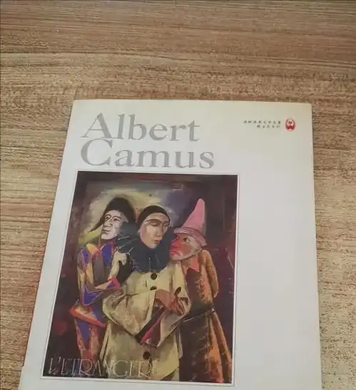  细读局外人,看似荒谬不近人情,却恰恰是整个社会的缩影