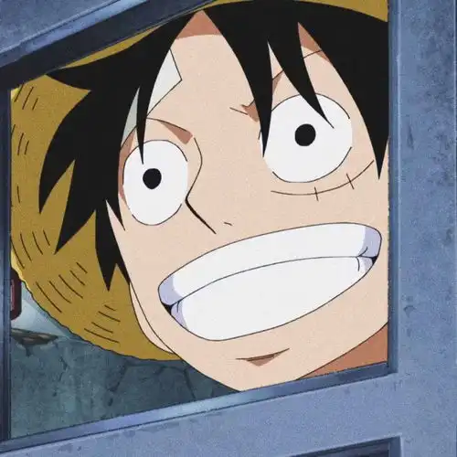  214海贼王头像17岁没能送你花,27岁请你喝酒吧