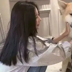  头像壁纸不是不爱,只是算了