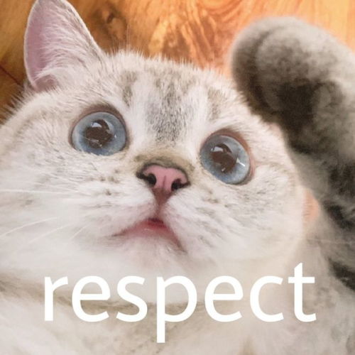  妈妈给俩孩子各养一只猫,谁成绩好谁的猫就能吃罐头,网友我也要为猫猫罐头而读书