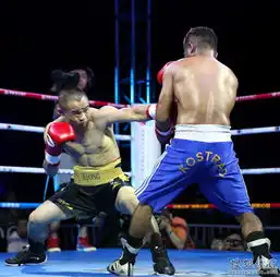 高清图熊朝忠tko印尼拳手出拳凶悍无所畏惧6957912 高清图熊朝忠tko印尼拳手出拳凶悍无所畏惧6957912