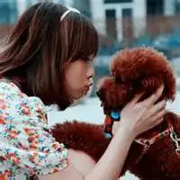  泰迪熊头像图片大全微信头像图片大全