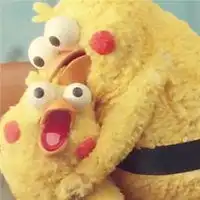  脆皮鹦鹉情侣头像高清