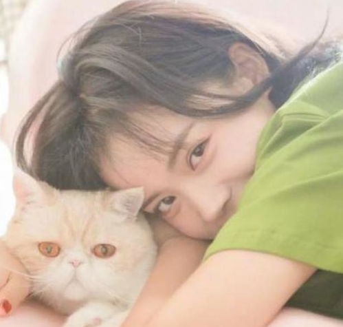 情侣头像女跟狗猫咪