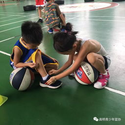  新阳光篮球训练营第三期火热报名中