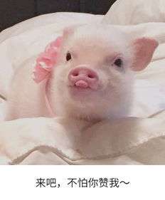  如何调出有故事感的照片发散思维大胆调出自己的内心世界