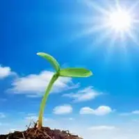  阳光积极头像微信头像图片大全