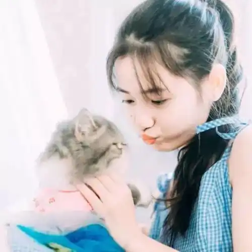  奇葩小偷专业偷盗十年,不销赃竟拿回家欣赏小偷我偷的是情怀,你不懂