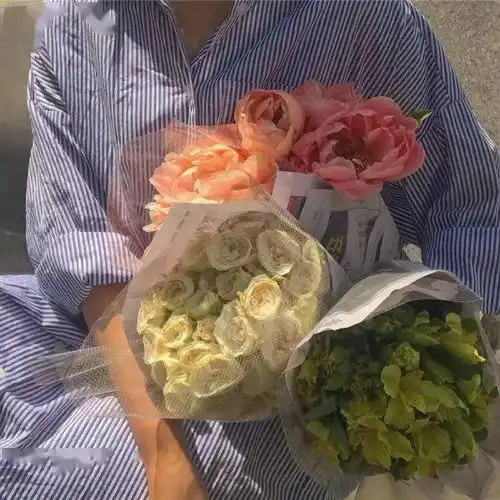 ins背景图