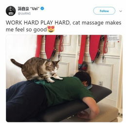  uzi更新推特上演猫狗大战彩蛋暗含女装大佬sneaky与大师兄