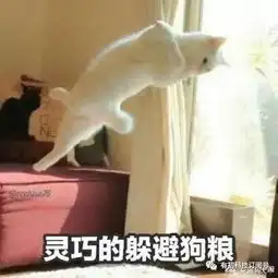  如今我们所过的七夕节...