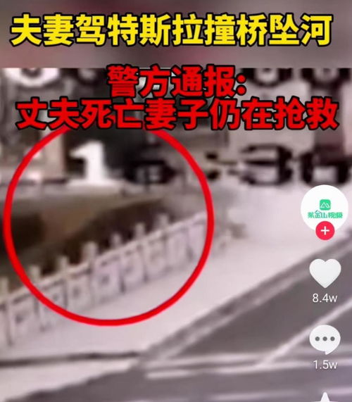  特斯拉回应江苏一辆特斯拉坠河的原因不怪我们,怪他们夫妻