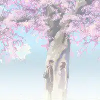  樱花古风唯美情侣头像微信头像图片大全