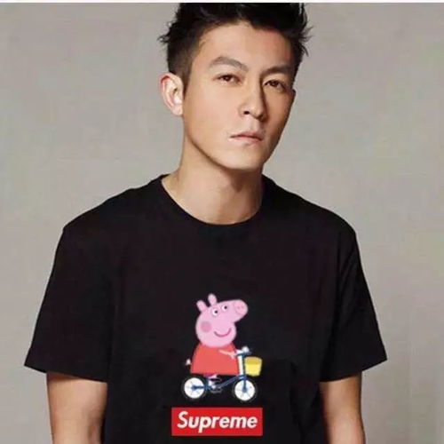  史记小猪佩奇列传