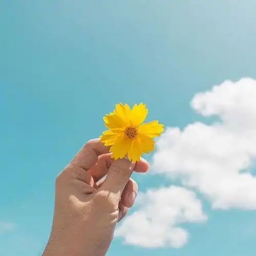  正能量的经典句子,积极向上,愿你心向阳光