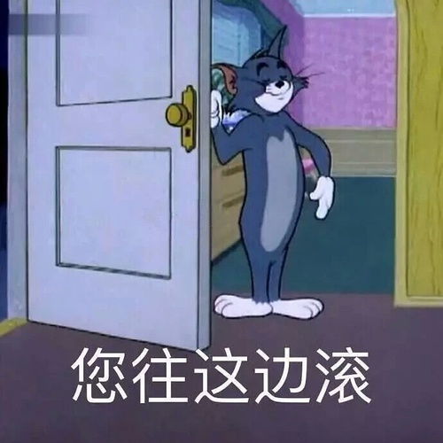  小说