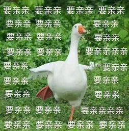  新资料片曝光这些新称号看得人家老脸一红内含新玩法