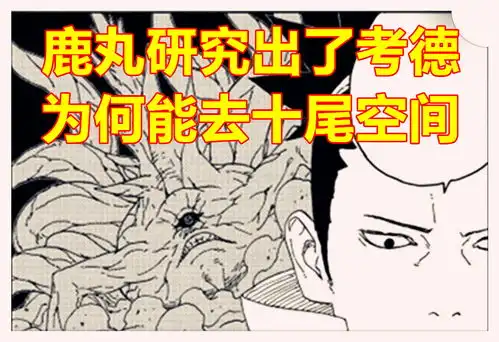  哔哩哔哩专栏