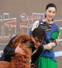羊驼头像情侣范冰冰