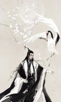  长生馆第十九章这便是人族的大荒