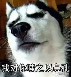  哈士奇与柴犬华山论贱,柴犬使出必杀技后,二哈认输了