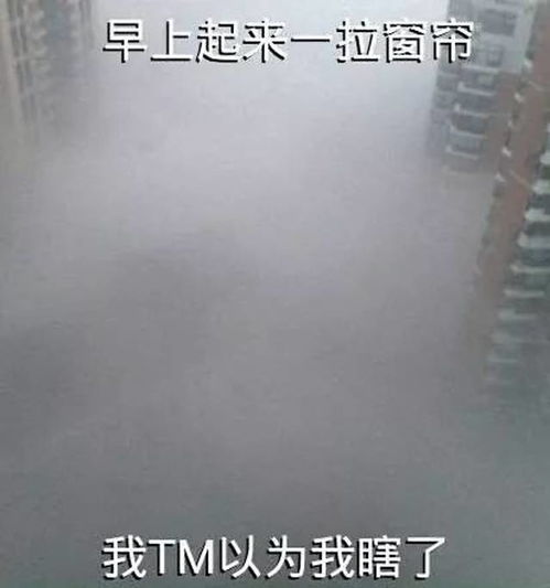  面对石家庄的雾霾,有人看不下去了