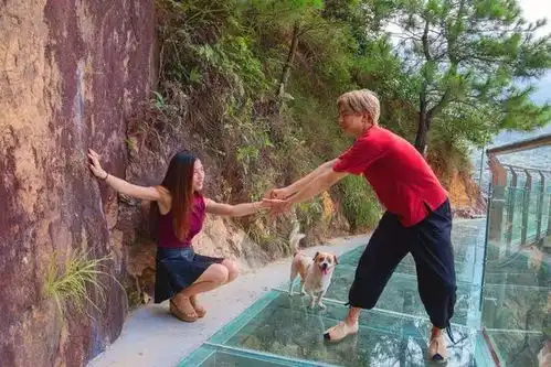 结婚的情侣头像一对玻璃