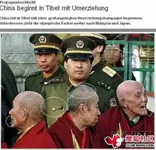  专家称德国电视台网站所登美联照片系假造