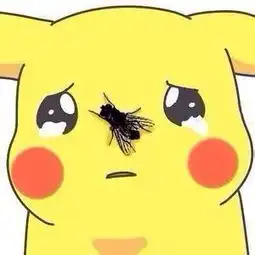  皮卡丘带苍蝇微信头像