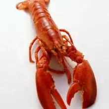  黄页88网