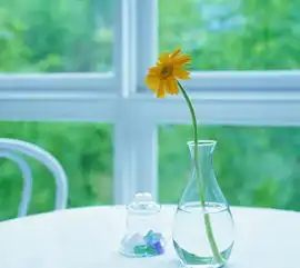  我们都很好,只是时间不凑巧