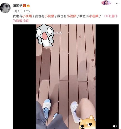  张馨予和老公玩拍一拍,备注何捷为小桃心,用情侣头像超恩爱