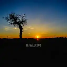 2019怪树林门票,额济纳旗怪树林游玩攻略,怪树林游览攻略路线地址门票价格 2019怪树林门票,额济纳旗怪树林游玩攻略,怪树林游览攻略路线地址门票价格