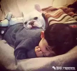  原来幸福的图片背后,还有这样一段故事