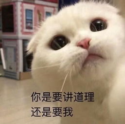  情侣吵架时最讨厌对方说的6句话,既然相爱,就不要互相伤害