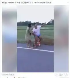  初恋这件小事阿拓学长狂揍路人引爆泰恶搞拜车风潮