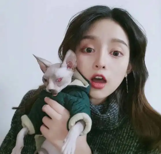 这三大星座女,追求不安全感,喜欢刺激的生活,尤其第一 这三大星座女,追求不安全感,喜欢刺激的生活,尤其第一