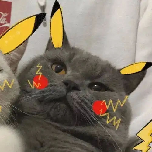  无水印情侣or闺蜜微信头像朋友圈背景图