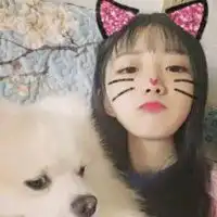  可爱猫咪特效女生头像微信头像图片大全