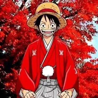  头像海贼王我只做我想做的事,保护我想要保护的人而已侵权