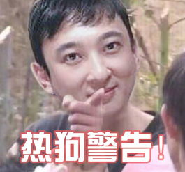  不八卦会死星人香港金牌摄影师镜头下的15位绝色女星,林青霞张曼玉都不如她美