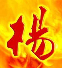 姓氏头像杨字大全可爱