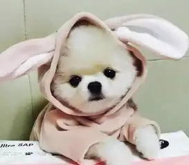  高挑女生的百变风格