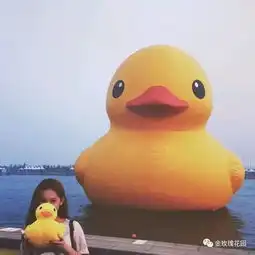 河滨公园来了一只大黄鸭金玫瑰花园门口哦 河滨公园来了一只大黄鸭金玫瑰花园门口哦