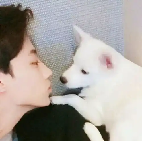 情侣头像图片真人女生琐