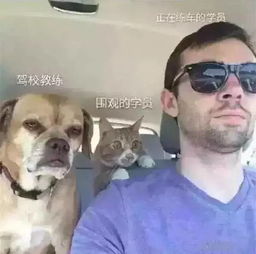  妈我学车回来了突然晒黑太扎心