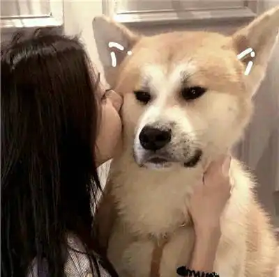 情感文案短句最火情感语录短句