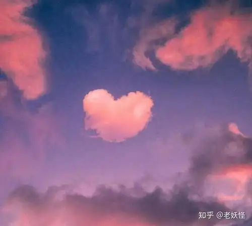  那些伤人的孩子最终变成了手捧阳光的大人