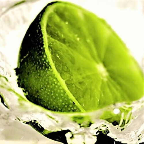 oceankeylimehawty单曲网易云音乐